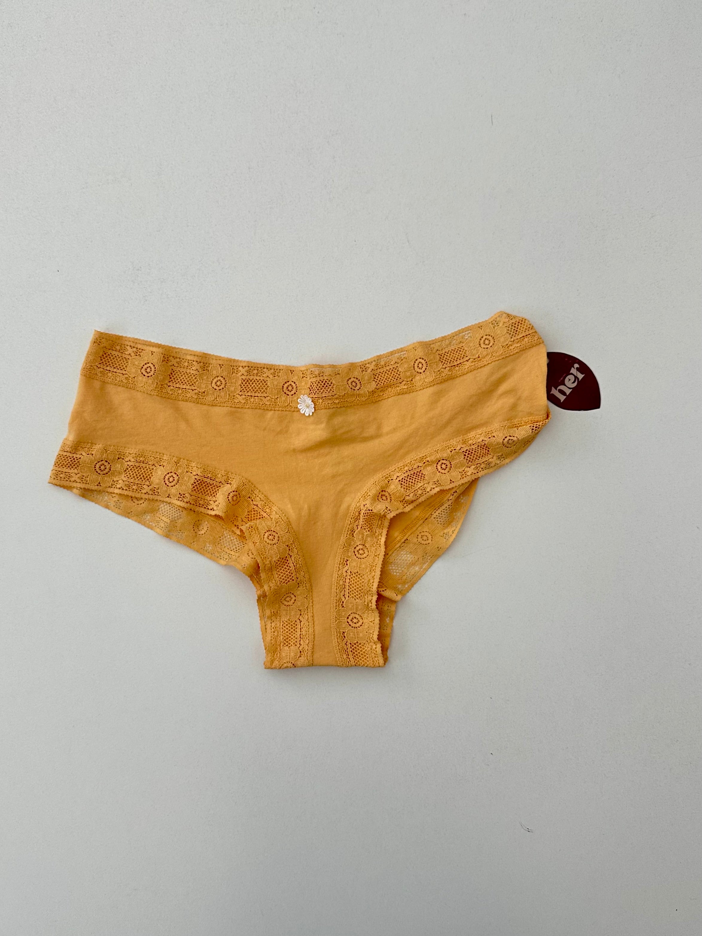 Pantie c/encaje